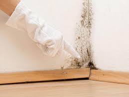 Reliable Oakdale, PA Mold Prevention & Removal  Solutions